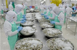 Mười tháng, Việt Nam xuất siêu 1,23 tỷ USD